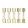5PCS 10 * 38MM Gold Plated Glass AGU Fuse Fuses Pack Car A-dio Amp Amplifier 10A 15A 20A 25A 30A 40A 50A 60A 70A 80A 100A Car Fuse (Size : 25A) view 1