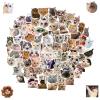 100Pcs Cat Stickers, Vinyl Waterproof Cute Funny Cat Stickers for Water Bottle Journaling Laptop Phone Case Skateboard Luggage Car Bumper Kawaii Animal Stickers for Kids Adults Teens