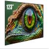 Elite Projector 123-Inch Edge-Free Projector Screen, Ceiling Light Rejecting (CLR) Technology, Absorbs 90% Overhead Lighting, High-Gain Material for Standard Throw Projectors, AR123H2-SBCLR16 view 2