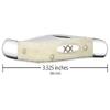 Case Cutlery CA13315: Medium Texas Jack Natural Bone view 2