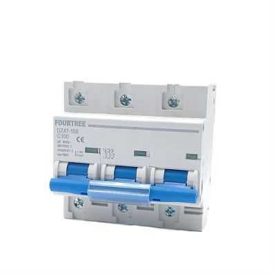 NIXCON Mini Circuit Breaker DZ47 63A 80A 100A 125A MCB 10KA Breaking Capacity Miniature Air Switch 1P 2P 3P 4P Laser Printing (Color : 1p, Size : 100A)