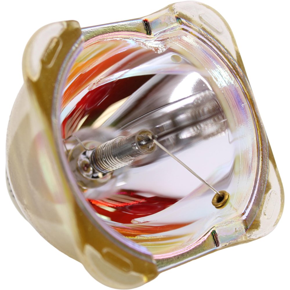 Advanced Lamps Lamp (Bulb Only) for The BenQ SP891 Projector