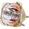 Advanced Lamps Lamp (Bulb Only) for The BenQ SP891 Projector view 3