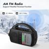 Audiocrazy AM FM NOAA Weather Radio,Portable Emergency Radio with Flashlight, Bluetooth 5.0, USB, AUX in Powered by Built-in Rechargeable Battery or 4 AA Battery for Home Indoor Black view 3