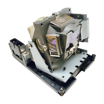 Advanced Lamps BL-FU310B Lamp & Housing for Optoma Projectors - Fits 5811118426-SOT, 5JJ8805001, BL-FU310B, D966HD, DH1017, EH500, EIP-U4700, EK-401W - 1 Unit Per Pack - 90-Day Warranty