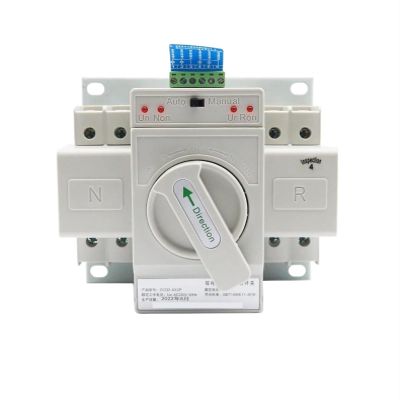 KKFAUS Dual Power Automatic Transfer Switch 2P 63A switchgear Switch CB Class ATS Home Single Phase 110V 220V (Size : 110V)