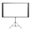 212 Main Duet Portable Projector Screen view 1