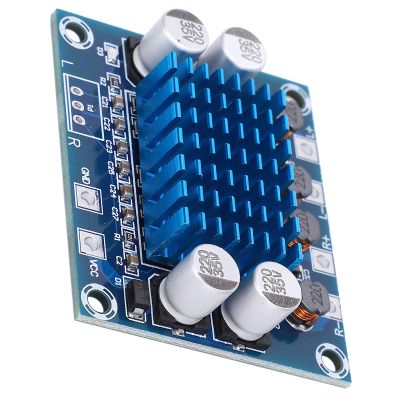 Fafeicy Audio Power Amplifier Board, Audio Power Amplifier Board TPA3110 XHA232 2.0 Channel Amplifier Module Digital Stereo, Audio Component Amplifiers, FAFEICYD94GNESRPB