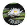 4 PCS Mousepad with Non-Slip Rubber Base 8" Round Mouse-Mat with Stitched Edge White Water Lily Gaming Mousepad for Wireless Mouses Computer Laptop Home Office Desk Pad view 1