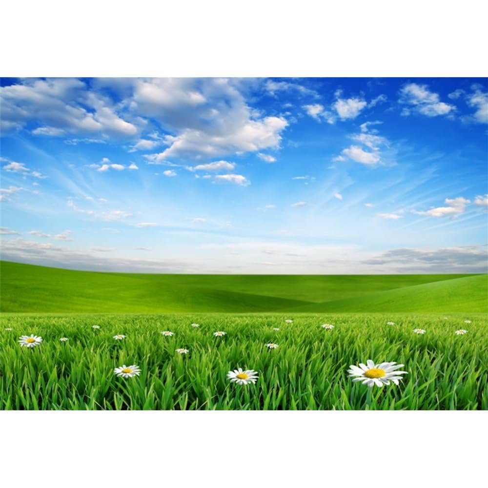 Laeacco 10x8ft Spring Grassland Landscape Backdrop Green Grass Meadow Daisy Flowers Photography Background Nature Scenery Outdoor Travel Adult Children Portrait Supplies Banner Photo Booth Props