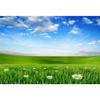 Laeacco 10x8ft Spring Grassland Landscape Backdrop Green Grass Meadow Daisy Flowers Photography Background Nature Scenery Outdoor Travel Adult Children Portrait Supplies Banner Photo Booth Props view 1
