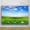 Laeacco 10x8ft Spring Grassland Landscape Backdrop Green Grass Meadow Daisy Flowers Photography Background Nature Scenery Outdoor Travel Adult Children Portrait Supplies Banner Photo Booth Props view 3