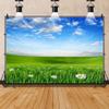 Laeacco 10x8ft Spring Grassland Landscape Backdrop Green Grass Meadow Daisy Flowers Photography Background Nature Scenery Outdoor Travel Adult Children Portrait Supplies Banner Photo Booth Props view 4