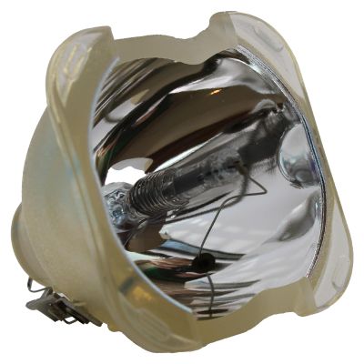 Advanced Lamps Lamp (Bulb Only) for The Optoma EP755 Projector