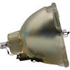 Advanced Lamps Lamp (Bulb Only) for The Optoma EP755 Projector view 4