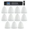 Rockville RCS350-6 350W 6-Zone 70V Restaurant Amp with 11 Pendant Speakers view 1