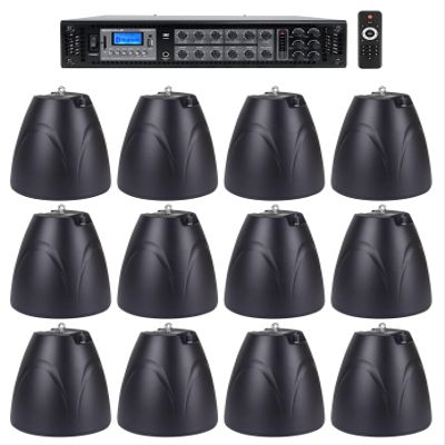 Rockville Bundle RCS350-6 350 Watt 6 Zone 70v Commercial/Amp/Bluetooth Bundle with (12) PEN-65T Black 6.5" 70V Hanging Pendant Speaker Commercial (13 Items)