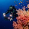 Sealife SL6811 Sea Dragon 3000 Color Boost COB LED Photo-Video Light Head for Underwater Photography & Video view 2