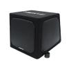 HERTZ DBA 201 8" (200mm) Active Sub Box-Dual Passive Radiators view 1