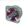 Advanced Lamps Lamp (Bulb Only) for The BenQ SX914 Projector view 1