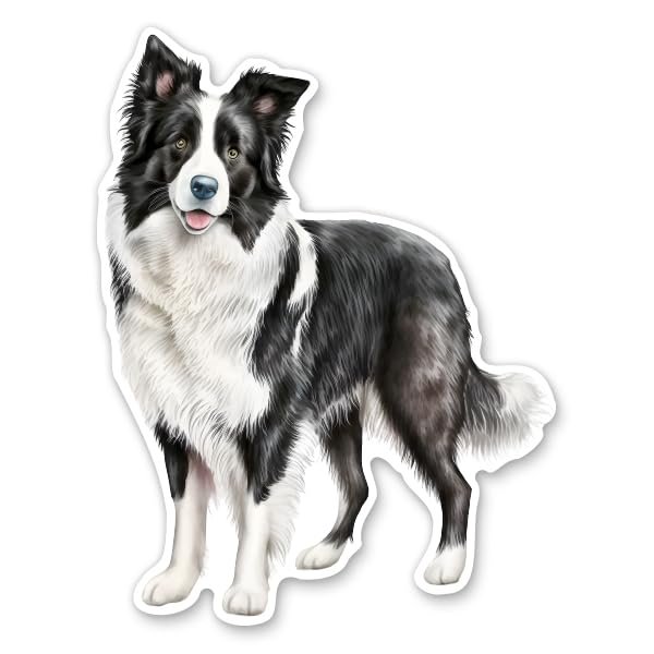Border Collie Dog Sticker - 5" Laptop Sticker - Waterproof Vinyl for Car, Phone, Water Bottle - Border Collie Decal