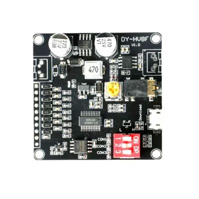 Baoblaze USB Voice Playback Module with 12V/24V MP3 Board