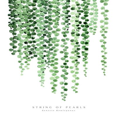 Watercolor string of pearls Poster Print - Blursbyai Rosana Laiz (16 x 24)