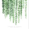Watercolor string of pearls Poster Print - Blursbyai Rosana Laiz (16 x 24) view 1