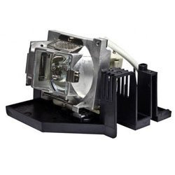 Compatible Front Projector Lamp