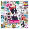 100 Pcs Cute Veterinary Stickers Funny Veterinarians Vinyl PVC Waterproof Stickers and Decals for Water Bottle Skateboard Luggage Laptop Computer Phone, Veterinar Party Favors Gifts view 4