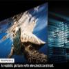 Samsung 75-Inch Class QLED 4K Q80D Series Quantum HDR+ Smart TV w/Dolby Atmos, Object Tracking Sound Lite, Direct Full Array, Motion Xcelerator, Alexa Built-in (QN75Q80D, 2024 Model) view 3