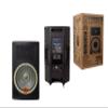 MR DJ SYNERGY15 Pro Audio Indoor Outdoor Ultra Powerful DJ Bluetooth 4500W Watts Peak, 15" Inch Woofer, Rollable Trolley Speaker with Built in Media Player, FM Radio Tuner, USB, SD Card view 2