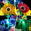 BRIKSMAX Led Light Kit for Lego-10313 Wildflower Bouquet - Compatible with Lego Icons Building Set- Not Include Lego Set view 3