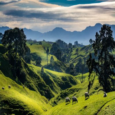 Loccor 9x6ft Fabric Mountain Landscape Backdrop New Zealand Travel Green Mountains Scenery Photography Background Kids Adults Travel Photo Studio Props
