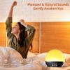 SoundLegend FM Radio Sunrise Alarm Clock Sound Machine Wake-Up Light Sunrise Sunset Simulation Adjustable Volume Brightness Sleep Aid 13 Colors 23 Sounds 28 Tunes Snooze Dual Alarm 4 Timers view 3