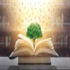 BELECO 5x3ft Fabric Magic Wisdom Book with English Alphabet Backdrop Knowledge Tree in Old Book Blurred Bookshelf Background for Kids Adults Party Graduation Decor Photo Studio Props view 3