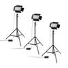 Acurit Colorview Lux Artist Studio Light 3 Pack - Adjustable Photography Lighting Kit 3 Color Temps, 4 Metal Barn Doors, 4160 Lumens LED - Remote Control, AC Power Supply, 6ft 6" Light Stands Included view 1