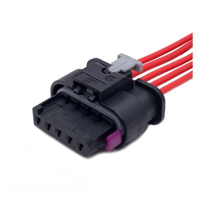 BUIEX 2 3 4 5 6 Pin Auto Tyco AMP Fuel Injector Iimpact Sensor Plug Waterproof Electronic Connector Wire Harness DJ7033WA-1.2-21 (Color : 5P Wire Harness, Size : 1 Pc)