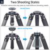 INNOREL NT404C Carbon Fiber Tripod Professional Birdwatching Heavy Duty Camera 66lb/30kg Max Load 40mm Max Tube Diameter Bowl Tripod Birdwatching Camera Stand with 75mm Universal Bowl Adapter view 4