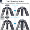 INNOREL NT404C Carbon Fiber Tripod Professional Birdwatching Heavy Duty Camera 66lb/30kg Max Load 40mm Max Tube Diameter Bowl Tripod Birdwatching Camera Stand with a 1/4" or 3/8" External Screw Hole view 4