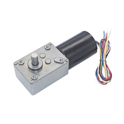 12V DC Motor Brushless Electric Worm Geared Motor High Turbine Reduction Motor With Self Locking 5840-3650 Reversible (Size : 200R)