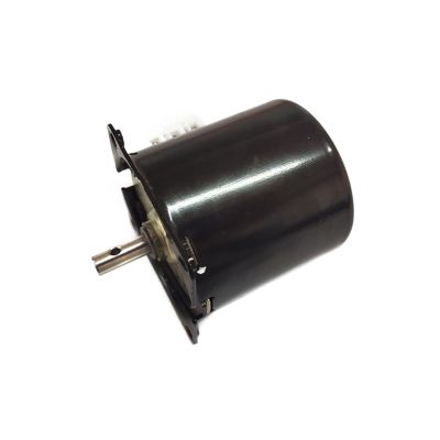 110V 220V AC Gear Motor Electric Motor Reducer Low Speed Metal Gear Motor Barbecue (Size : 220v 15rpm)
