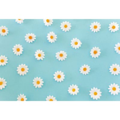 Laeacco Daisy Flower Backdrop for Photography White Floral Blue Photo Background Baby Shower Birthday Party Decorations Cake Table Banner Girls Children Portrait Photoshoot Studio Props 10x7ft Vinyl