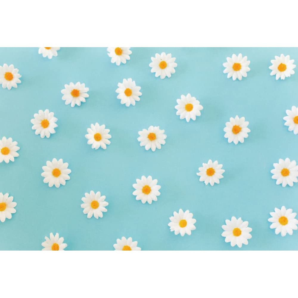 Laeacco Daisy Flower Backdrop for Photography White Floral Blue Photo Background Baby Shower Birthday Party Decorations Cake Table Banner Girls Children Portrait Photoshoot Studio Props 10x7ft Vinyl