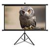 Xnyaizyc Outdoor Projector Screen with Stand 60 inch 72 inch, Indoor Wall Mountable Projection Screen 4:3 16:9 HD Premium Wrinkle-Free Movies Screen for Home Cinema, Office (Size : 60"" (16:9)) view 1