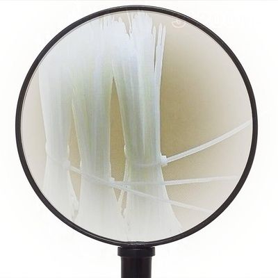 1000 Pcs White Electric Flexible Cable Fasten Tie 200mm x 3mm