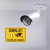 4 Smile You're on Camera Stickers for Home, 10 X 7 Inch Self-Adhesive Vinyl Decal, Video Surveillance Signs Outdoor, Security Camera Signs for Business, Driveway Alert, and CCTV. view 3
