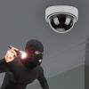 Pilipane Outdoor Indoor Fake Camera, Dome Fake Security Camera with Flashing Red LED Light Wireless Surveillance Dummy Cameras, Indoor Outdoor Surveillance Camera view 4