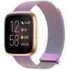 Amzpas Metal Band Compatible with Fitbit Versa 2 Bands / Fitbit Versa Bands for Women Men, Adjustable Stainless Steel Mesh Loop Magnetic Replacement Strap for Fitbit Versa 2 / Fitbit Versa / Versa view 2