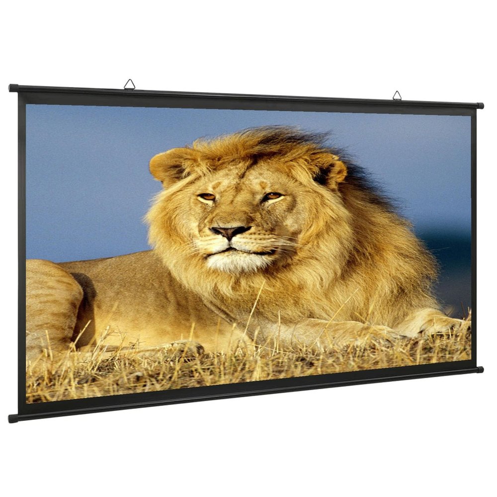 Xnyaizyc Projection Screens 4:3, Outdoor Projection Screen 60 72 80 inch, Foldable Anti-Crease Portable Projector Movies Screens 16:9 for Camping Party, Home Cinema, Office, School (Size : 80" (4:3))